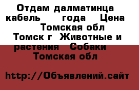 Отдам далматинца, кабель, 1,5 года. › Цена ­ 1 - Томская обл., Томск г. Животные и растения » Собаки   . Томская обл.